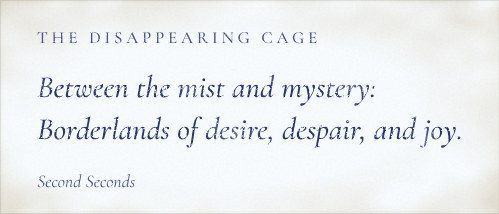 The Disappearing Cage